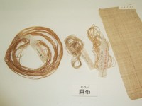 麻・・麻は人類が用いた最古の繊維（素材）といわれています