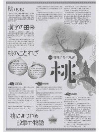 特集　桃