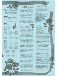 特集　バラ