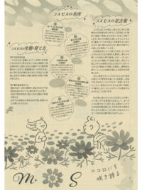 特集　コスモス