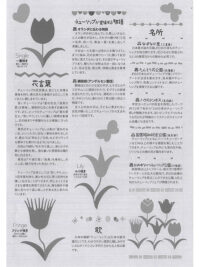 特集　チューリップ