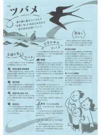 特集　ツバメ